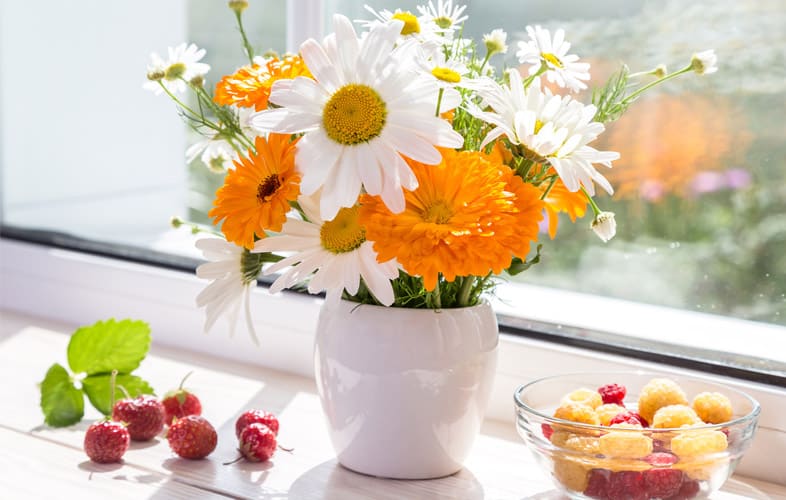 How to Bring the Sunshine Indoors!