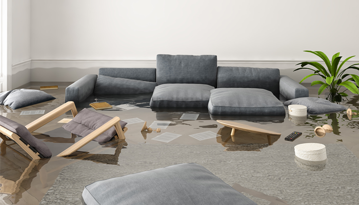 How Do You Begin to Rebuild After a Disaster?
